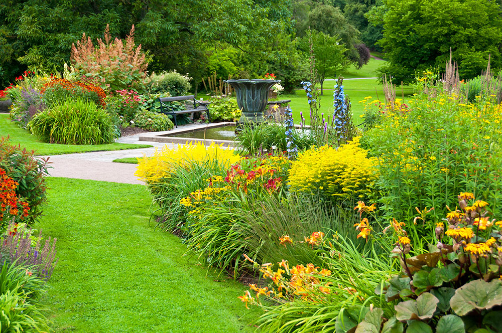 Jardin fleuri